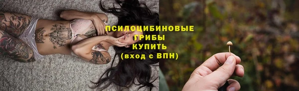 ешки Пролетарск