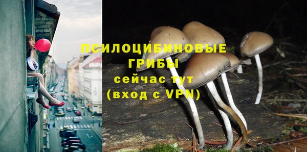 бутират Приозерск