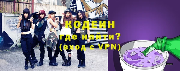 тгк Ельня