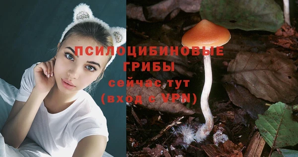 тгк Ельня