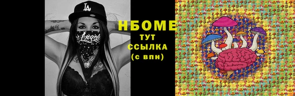 тгк Ельня