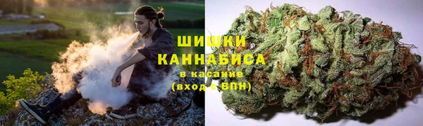 тгк Ельня