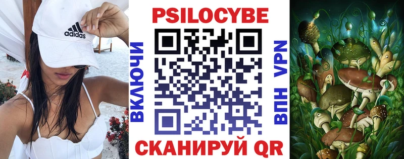 Псилоцибиновые грибы Cubensis  МЕГА   Саяногорск 