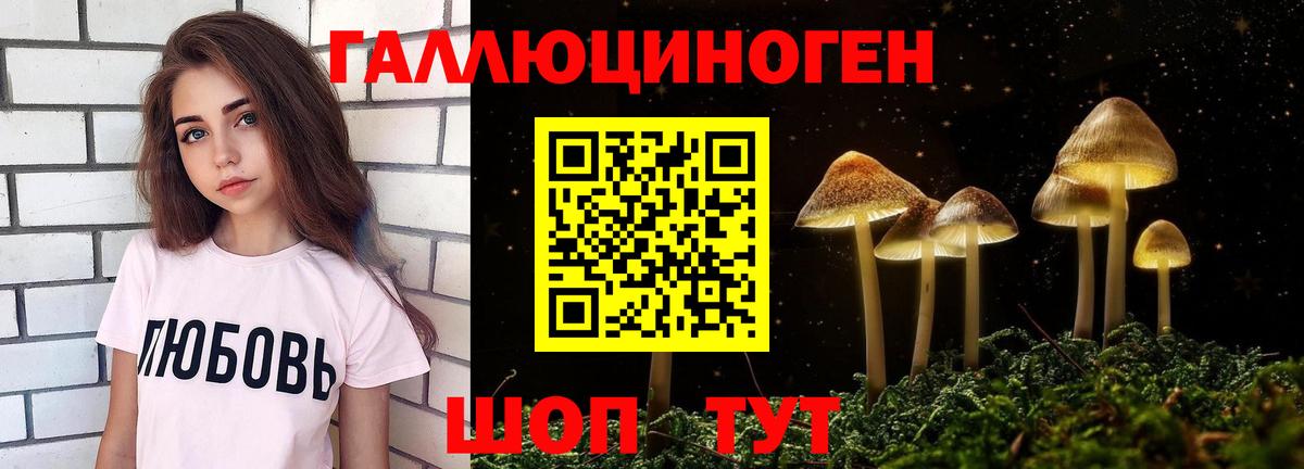 Галлюциногенные грибы прущие грибы Саяногорск
