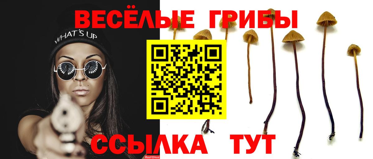 Галлюциногенные грибы MAGIC MUSHROOMS  Вход с VPN  Саяногорск 